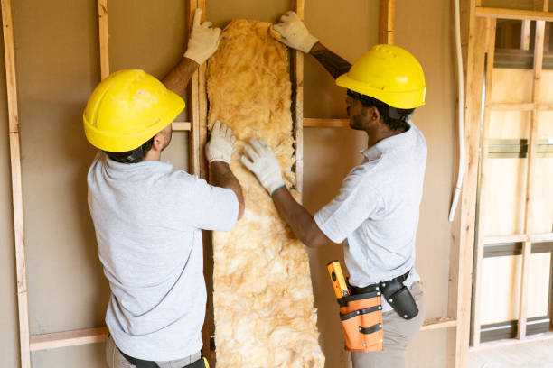 Professional Insulation Removal & Installation in Hoyt Lakes, MN